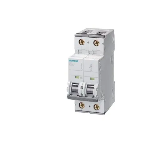 Interruttore magnetotermico Siemens, 2P 40A 10 kA, Tipo C