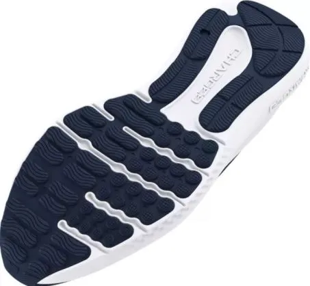 Scarpe Uomo Under Armour UA Charged Surged 4 3027000 401 Blu